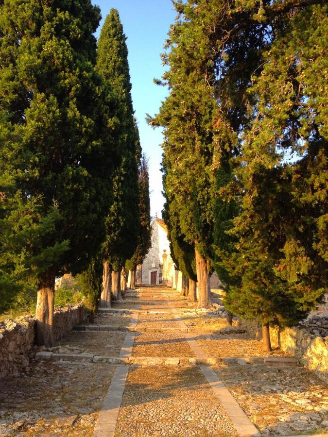 Villa Veli Nova Zavala Εξωτερικό φωτογραφία