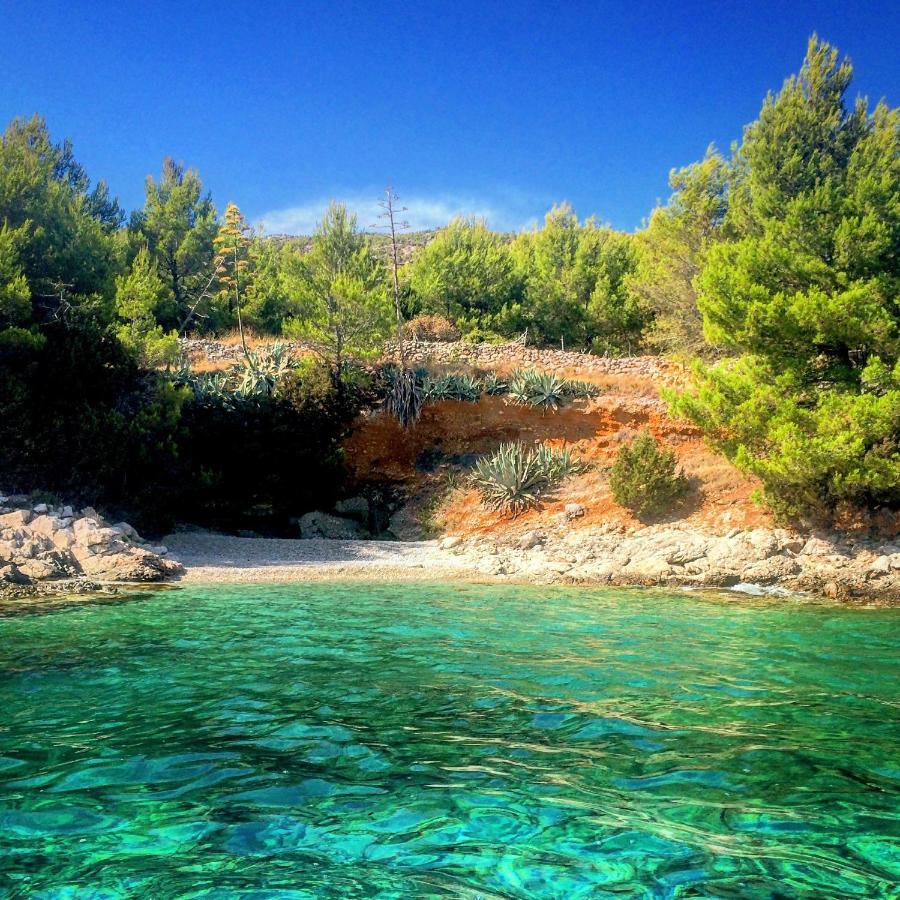 Villa Veli Nova Zavala Εξωτερικό φωτογραφία